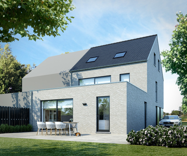 Grijskopspecht extra image 3