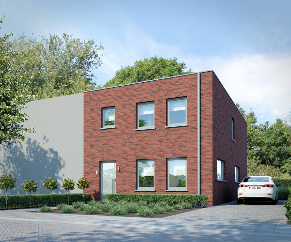 Roodborst main image
