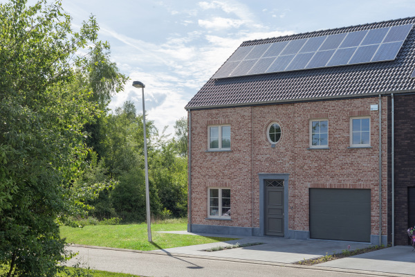 Vuurvink main image