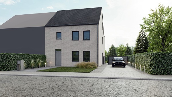 Zilvermeeuw main image