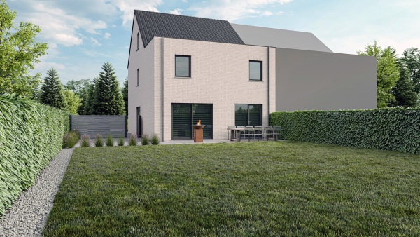 Zilvermeeuw extra image 1