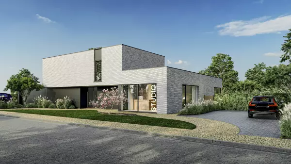 Koningspinguïn main image