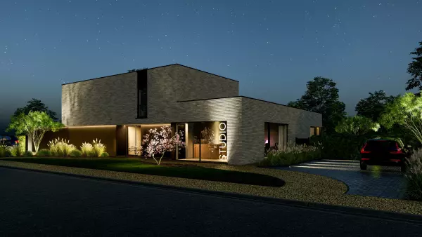 Koningspinguïn extra image 7