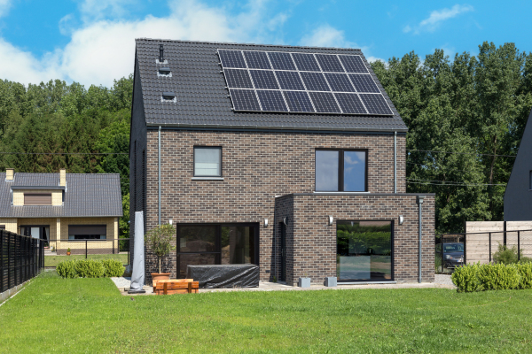 Steenarend extra image 1