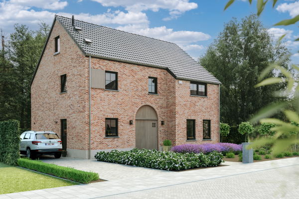 Diamantvink main image